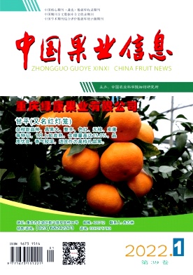 中国果业信息封面 中国果业信息封面
